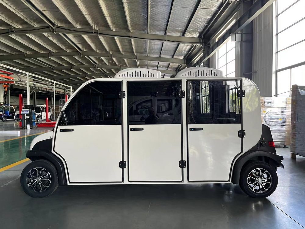 6-Seater Electric Mini Car
