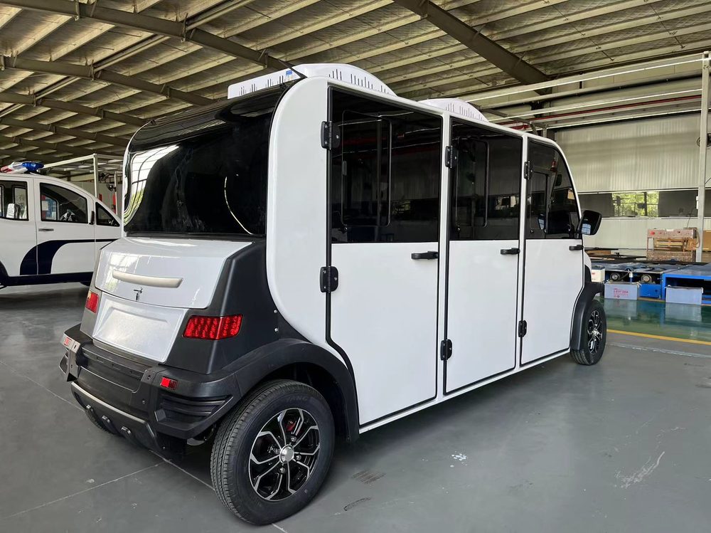6-Seater Electric Mini Car