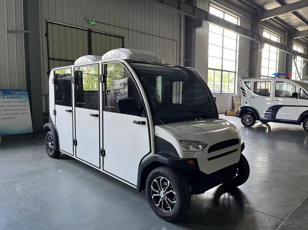 6-Seater Electric Mini Car