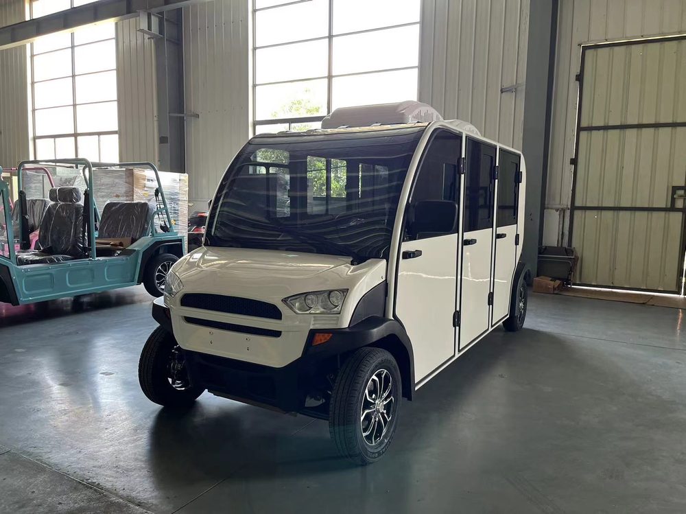 6-Seater Electric Mini Car